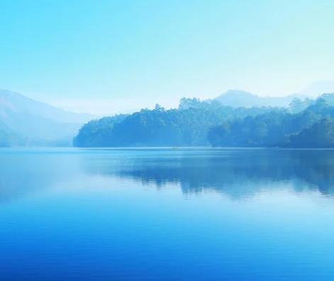 1648703885539580.jpg 11.jpg