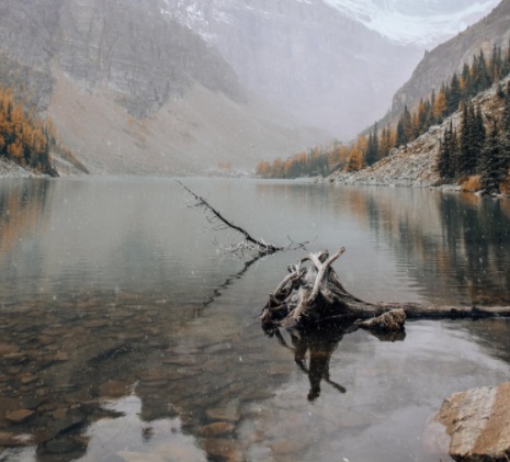 1658307904483339.jpg 7.jpg